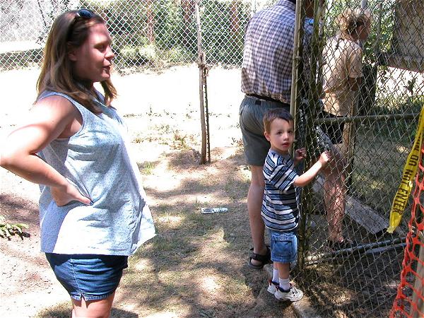 Joey and Dawn checking out a big cat, I think